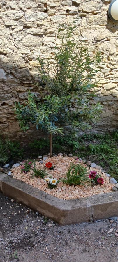 Le 9 De Cour, Chambre Chaco Bed & Breakfast Carcassone Exterior photo