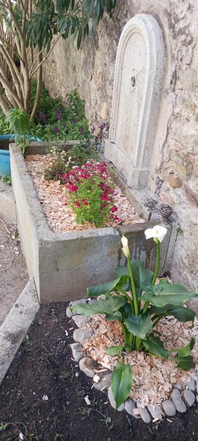 Le 9 De Cour, Chambre Chaco Bed & Breakfast Carcassone Exterior photo