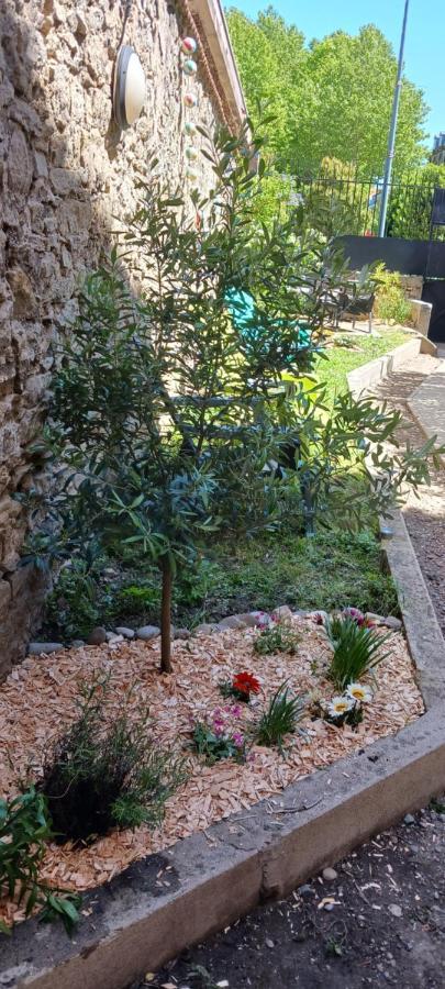 Le 9 De Cour, Chambre Chaco Bed & Breakfast Carcassone Exterior photo