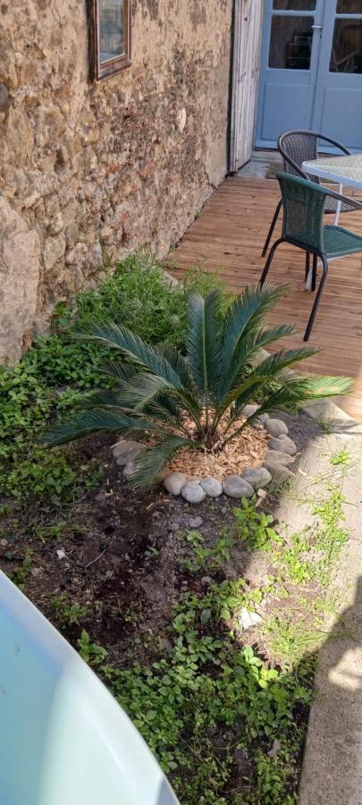 Le 9 De Cour, Chambre Chaco Bed & Breakfast Carcassone Exterior photo